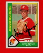 Springer.jpg