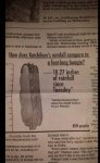 1421954213034.jpg