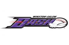 ws-dash-logo.jpg