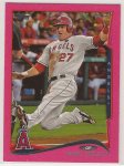 trout2.jpg