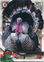 WHP - T Turkey.jpg