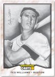 ted williams cc.jpg
