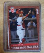 2003 TN Smokies Yadi.jpg