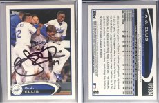 Ellis 12.jpg