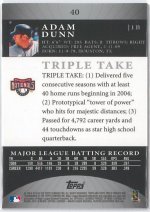 2010 Topps Triple Threads Platinum #40, 1 of 1 BACK.jpg