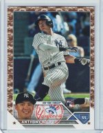 Volpe 2023 Topps S2 Camo 10-25.jpg