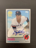 Perry 73 Silver.jpg