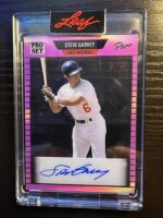 Garv leaf pink 25.jpg