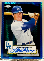 Garv 99 blue.png