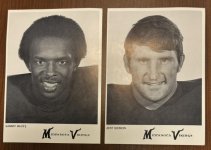 Vikes 1.jpg