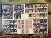 IMG_6429.jpeg