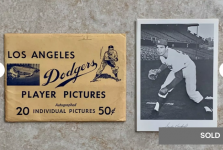 dodger 66 Photo Pack.png