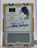Garvey Difinitive 15.png