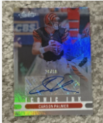 C Palmer 50.png