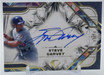 Garvey Icon 10.png