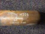 JH Bat2.JPG