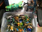 Turtles1.JPG