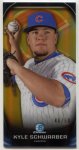 SCHWARBER.GOLD.REF.TB.50.15BC.NS.jpg SCHWARBER.GOLD.REF.TB.50.15BC.NS.jpg