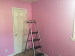 IMG_1781.JPG IMG_1781.JPG