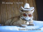 blanning71cat.jpg