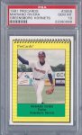 1991 PROCARDS GREENSBORO HORNETS #3058 PSA 10.jpg