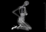 xray-pinup-calendar2%u00252B%u002525281%u00252529.jpg