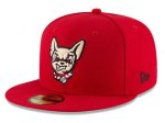 El Paso Chihuahuas.jpg