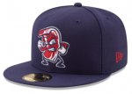 LeHigh Valley Iron Pigs.jpg