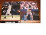 gwynn.JPG gwynn.JPG