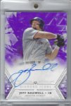 2018 Topps Diamond Icons Autographs Purple.jpg