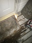 IMG_7057.JPG IMG_7057.JPG