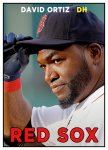 2017_BOS_David_Ortiz.jpg