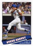 Garvey Collection0043.jpg