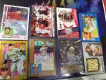 20191016_113217.jpeg
