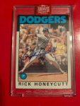 Honeycutt.jpg