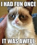 Grumpy-Cat-Fun-Meme.jpg