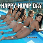 happy-hump-day-the-codeofman-22746823.png