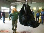 829-pound-bear-takes-record-in-NJ-hunt.jpg