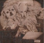dogs 001.jpg