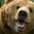 tweetingbear