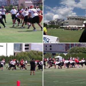 Bengals Training Camp