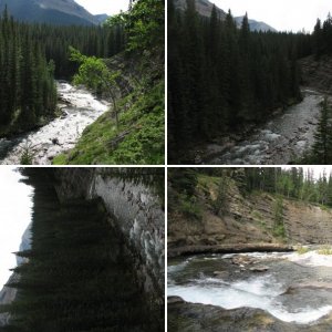 Sheep River Aug 10