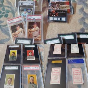 My Collection