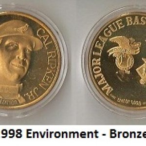 1998 Environment - Bronze.jpg