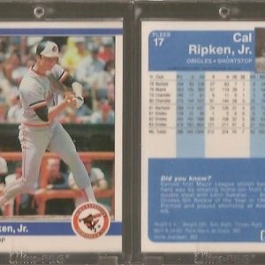 1984 Fleer 17.jpg