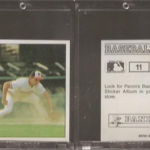1988 Panini Stickers 11.jpg