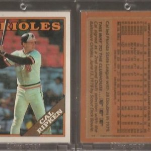 1988 Topps 650Wrong Back.jpg