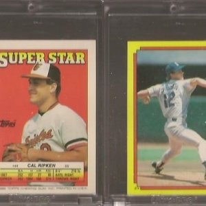 1988 Topps Stickers 44.214.jpg