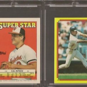 1988 Topps Stickers 44.294.jpg