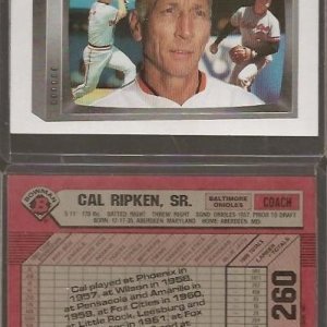 1989 Bowman 260.jpg
